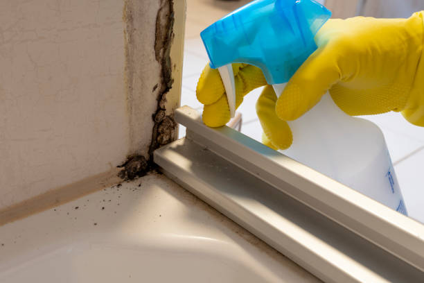 Mold Testing and Removal in Stormstown, PA